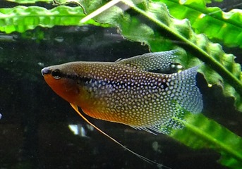 00 DSCF4866.jpg
