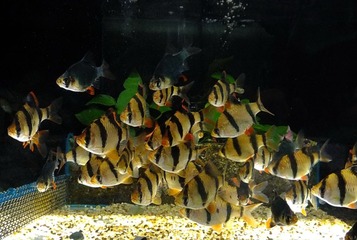 00 DSCF4879.jpg