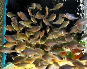 00 DSCF4875.jpg
