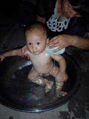 190291