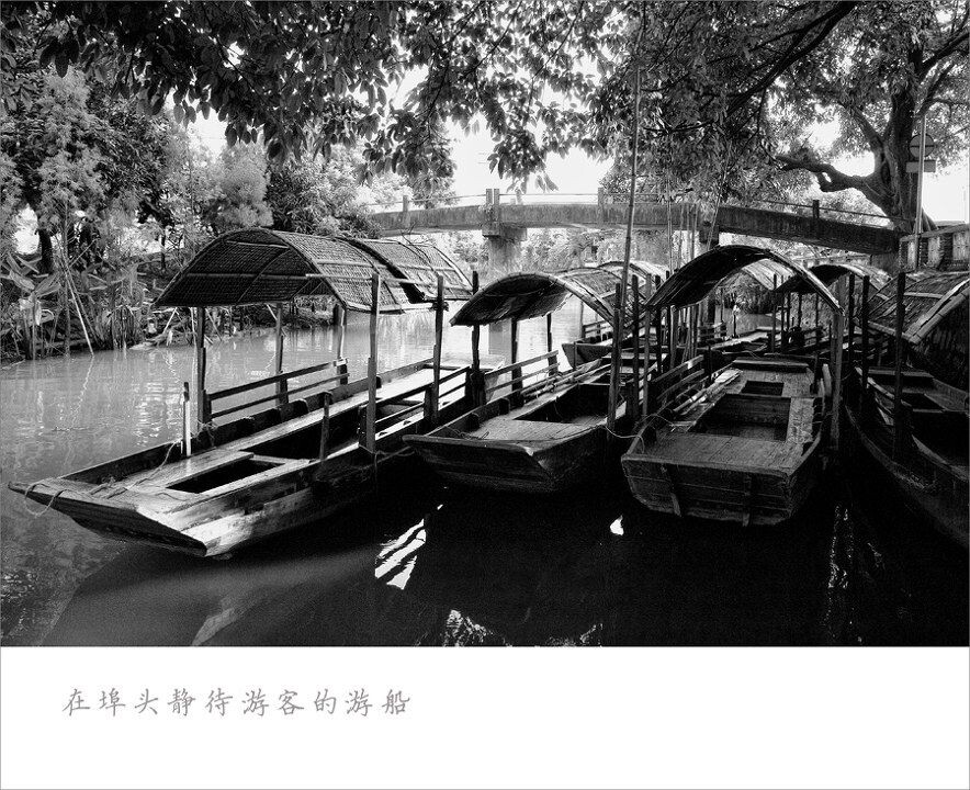 20121002埠头随拍-002<br />