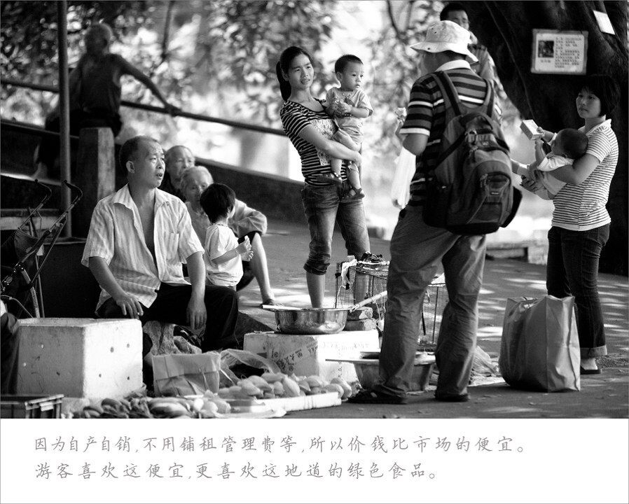20121002埠头随拍-008<br />