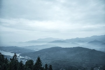 201511020061
