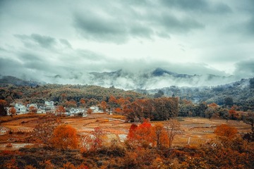 201511020072