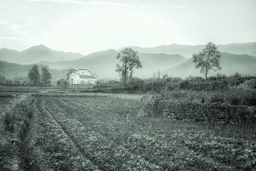 201511020080