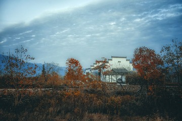 201511020082