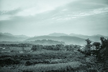 201511020085