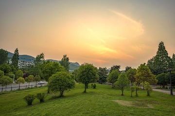 20160429-DSC023470001