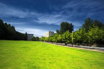 _DSC3292