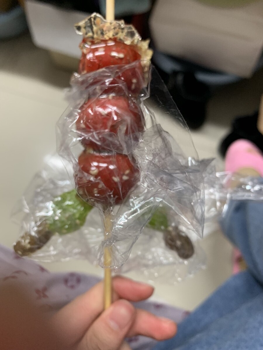水果干可以带回国内吗