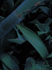 B6762383-B5F7-4924-87F0-205871CCAE77/L0/001