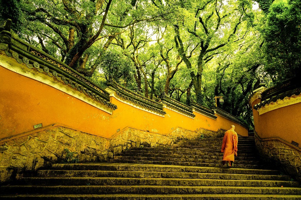 普陀山法雨寺