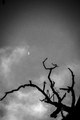 P1160427