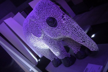 P1000719.JPG
