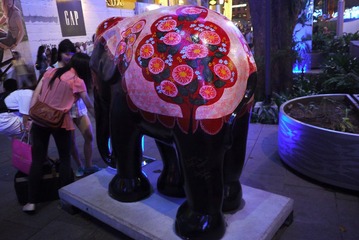 P1000731.JPG