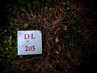 DSCF0500.JPG