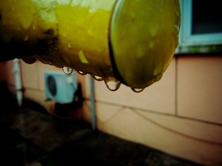 DSCF0503.JPG