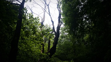 _DSC0023_??