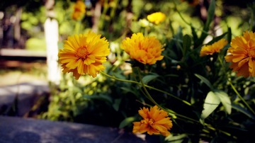 _DSC0019_??