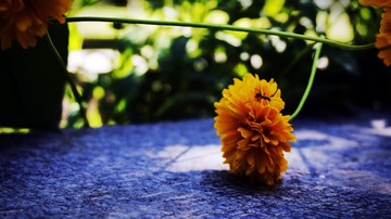 _DSC0018_??