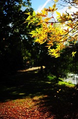 DSC_9946.jpg