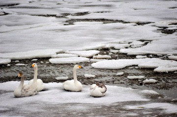 DSC_1422.jpg