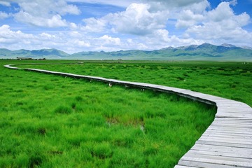 DSC_5054xiugai.jpg