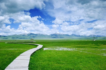 DSC_5061xiugai.jpg