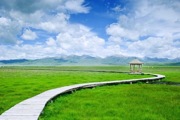DSC_5068xiugai.jpg