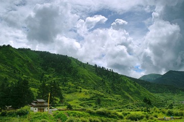 DSC_4474xiugai.jpg