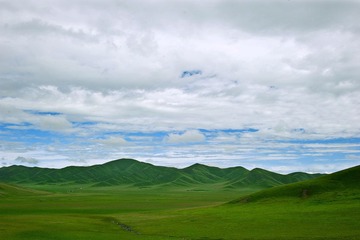 DSC_4841xiugai.jpg