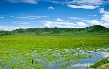 DSC_4886xiugai.jpg