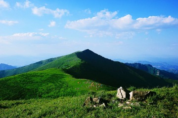 DSC_7087xiugai.jpg