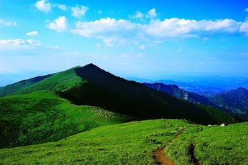 DSC_7091xiugai.jpg