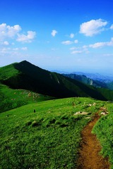 DSC_7072xiugai.jpg