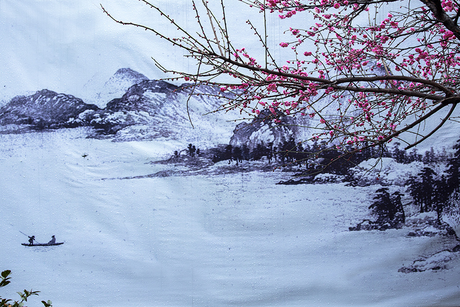 冰河雪山红梅开