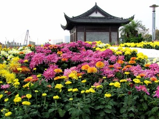 0IMG_3359