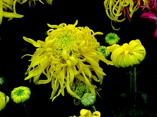 0IMG_3230