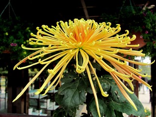 0IMG_3273