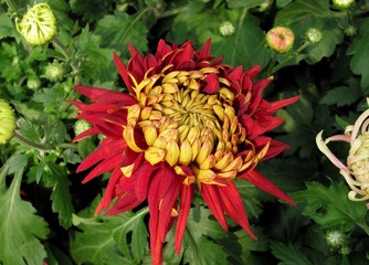 0IMG_3311