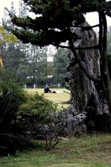 0IMG_4937