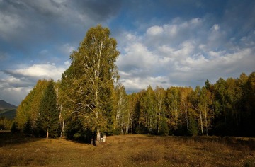 IMG_1340.JPG