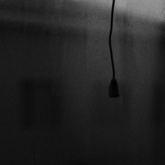 P2240151.JPG