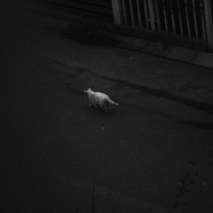 P2240158.JPG