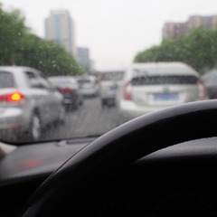 P5080988.JPG