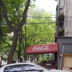 P5090998.JPG