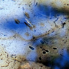 P8020097.JPG