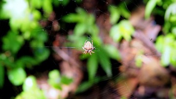 P8020118.JPG
