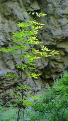P8020120.JPG