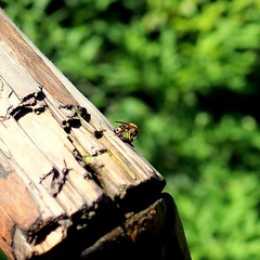 P8020123.JPG